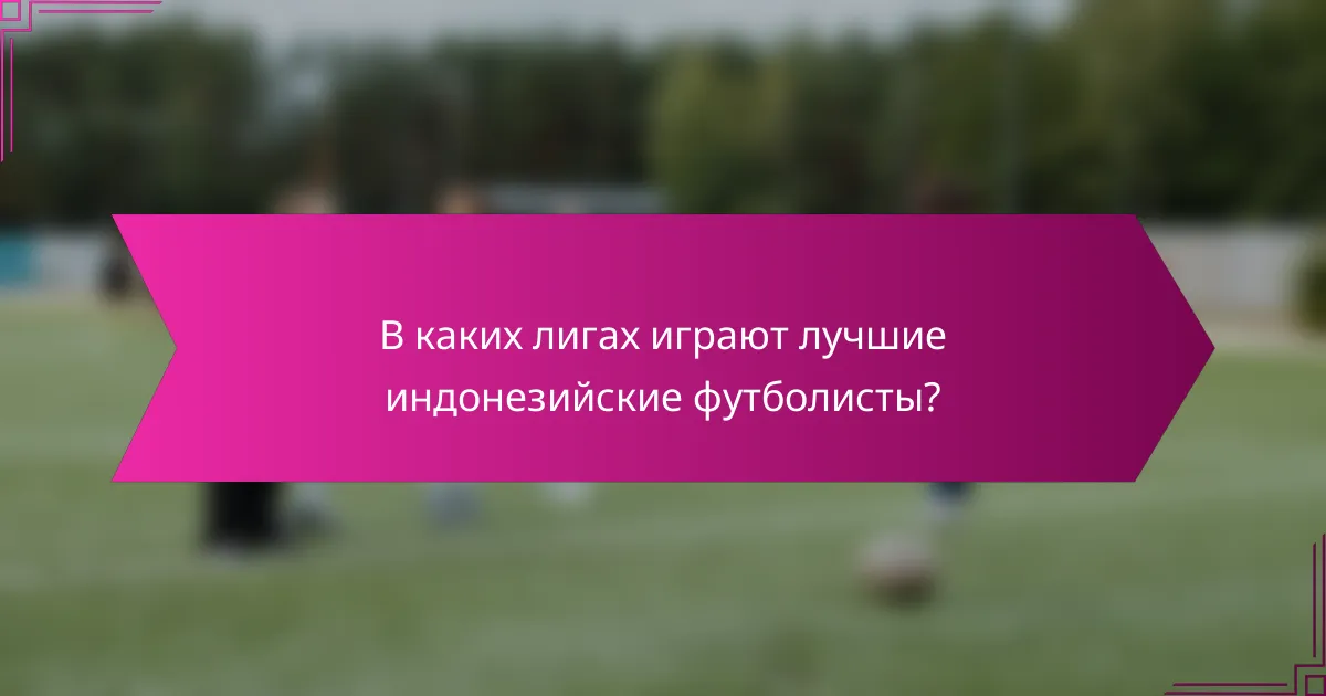 В каких лигах играют лучшие индонезийские футболисты?